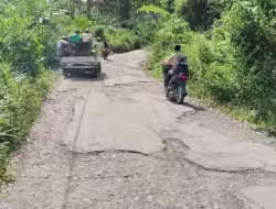 Jalan Desa Rimba Soping Sumatera Utara Rusak Parah, Tiga Tahun Tak Tersentuh Perbaikan