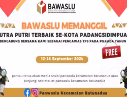 Pendaftaran Pengawas TPS Pilkada 2024 di Kec. Psp Batunadua Dibuka, Cek Persyaratannya