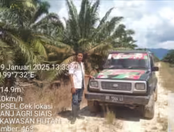 PT ANJ Agri Siais Diduga Alih Fungsi Kawasan Hutan Jadi Tanaman Sawit, Sertifikasi ISPO Terancam Dibatalkan