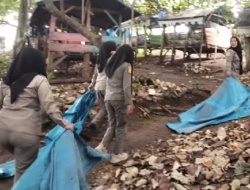 Satpol PP Padangsidimpuan Bersihkan Kota, Tekan Pelanggaran Perda di Batunadua dan Kantin