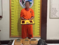 Hasil Pengembangan, Petani di P. Sidimpuan Ditangkap, 3,1 Kilogram Ganja Disita; Jaringan Narkoba Terungkap
