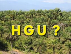 Diduga Puluhan Tahun PT Hexasetia Sawita di Paluta Beroperasi Tanpa HGU