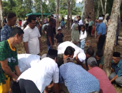 Berbagi Berkah Idul Adha, 10 Sapi Kurban Meriahkan Desa Manunggang Julu Kota Padangsidimpuan