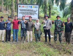 Segel 100 Ribuan Ha Lahan Sawit, Satgas PKH Kembali Amankan 4.129 Ha Kawasan Margasatwa Barumun