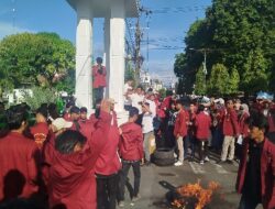 Maraknya Kasus Pelecehan Anak di Padangsidimpuan, PC IMM Desak Wali Kota Copot Kadis P2PA