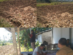 Dukung Ketahanan Pangan, Dinas Pertanian Kota Padangsidimpuan Sediakan Alsinta untuk Desa/Kelurahan