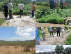 Sertifikat PHPL Dibekukan, PT Teluk Nauli Diduga Serobot Tanah Masyarakat Desa Batu Mundom