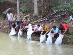 Pemkab Tapsel Tingkatkan Ketersediaan Ikan dan Ekonomi Masyarakat Melalui Program 1.000 Kolam