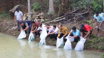 Pemkab Tapsel Tingkatkan Ketersediaan Ikan dan Ekonomi Masyarakat Melalui Program 1.000 Kolam