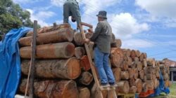 Kontroversi Penangkapan Kayu Log di Tapsel: Dasar Hukum Dipertanyakan, Pemilik Lahan Merasa Dikriminalisasi