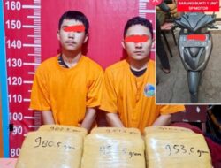 Dua Pemuda Asal Jambi Dibekuk Satres Narkoba Polres Madina, Bawa 14,4 Kg Ganja Siap Edar