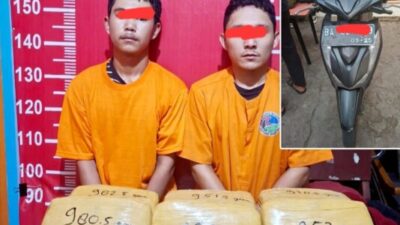 Dua Pemuda Asal Jambi Dibekuk Satres Narkoba Polres Madina, Bawa 14,4 Kg Ganja Siap Edar