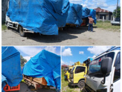 BKSDA Padangsidimpuan Amankan Empat Truk Pengangkut Kayu Diduga Ilegal di Tapsel