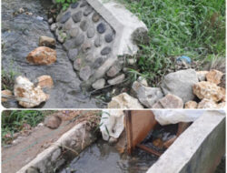 Proyek P3TGAI dan sejumlah P3A Diduga Sarat Bermasalah, Kejatisu Diminta Turun Tangan