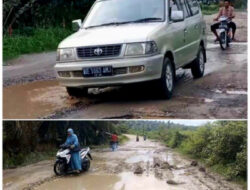 Warga Palas Keluhkan Jalan Rusak, Harap Pemerintah Segera Turun Tangan