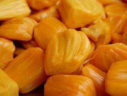 Nangka: Buah Tropis Kaya Manfaat untuk Kesehatan