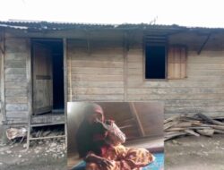 Nestapa Nenek Sadariah di Madina: Derita Asam Urat, Hidup Tanpa Listrik, dan Keterbatasan Ekonomi