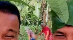 Aksi Tak Senonoh Waria di Kebun Pisang Hebohkan Warganet, MUI Tapsel Angkat Bicara