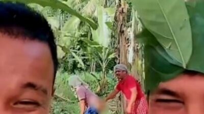 Aksi Tak Senonoh Waria di Kebun Pisang Hebohkan Warganet, MUI Tapsel Angkat Bicara