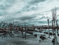 Apa Itu Bencana Geo-Hidrometeorologi? Simak Penjelasan BMKG