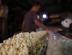 Tempe, Makanan Sederhana RI yang ‘Sakti’ dan Diburu Dunia