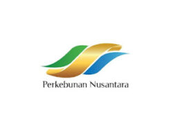 Kesempatan Magang Nasional di BUMN Perkebunan: Holding PTPN III Buka Rekrutmen untuk Fresh Graduate