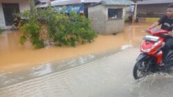 Banjir Landa Sinunukan: 235 Jiwa Mengungsi, Posko Siaga Dibuka