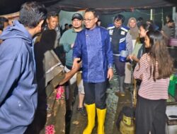 Bupati Tapsel: Dirjen PHL Kemenhut Bermain Kata-Kata – SIPUHH Bukan Izin? Itu Seperti Karcis Bioskop Tanpa Surat Izin