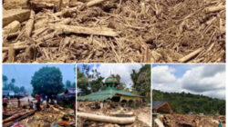 Ini 11 Daftar Nama Bos Penebang Kayu di Tapsel, Haji Mahmuddin Tak Ada