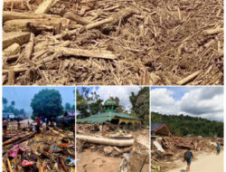 Ini 11 Daftar Nama Bos Penebang Kayu di Tapsel, Haji Mahmuddin Tak Ada