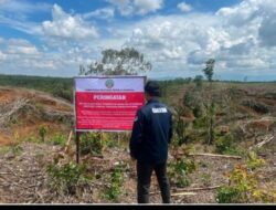 Papan Larangan Dipasang! Kemenhut Telusuri Dugaan Aktivitas Ilegal di Hulu DAS Batang Toru dan Sibuluan yang Perparah Bencana  Tapsel |