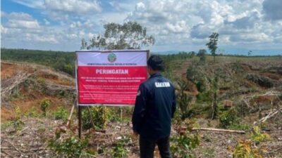 Daftar Perusahaan ‘Biang Kerok’ Banjir Sumatera: Bencana Alam atau Kejahatan Korporasi?