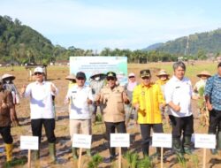 Percepat Pemulihan Pangan, Wabup Tapsel Hadiri Groundbreaking Rehabilitasi Sawah di Tapteng