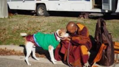 Kesetiaan Aloka dan Anjing Yudhistira