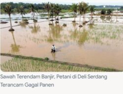 Kerugian Ekonomi Bencana Hidrometeorologi di Sumut Capai Rp17,4 Triliun, Petani Pematangsiantar Butuh Bantuan Cepat untuk Pemulihan Sawah