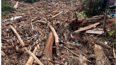 Update Pemulihan Pascabencana Sumut: Kemenhut Olah 28.114 Meter Kubik Kayu Hanyutan, Dukung Huntara di Desa Garoga hingga Batang Toru